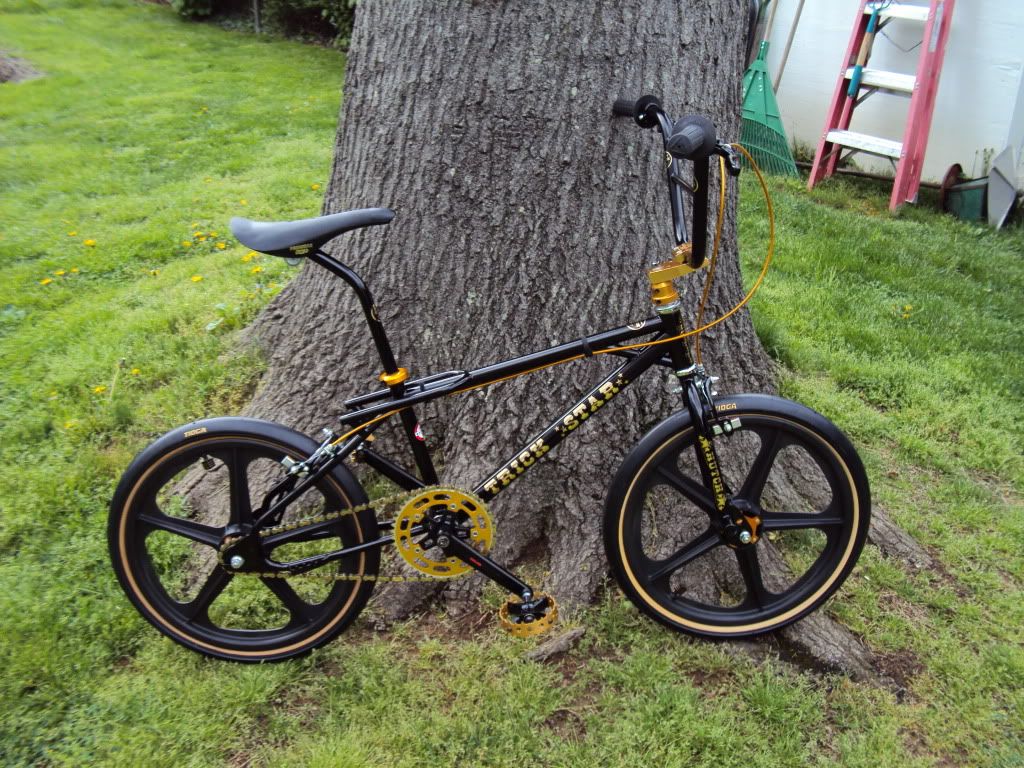 black and gold bmx